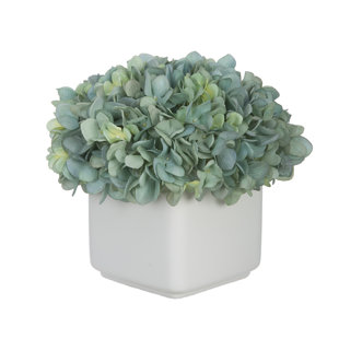 Hydrangea Arrangement