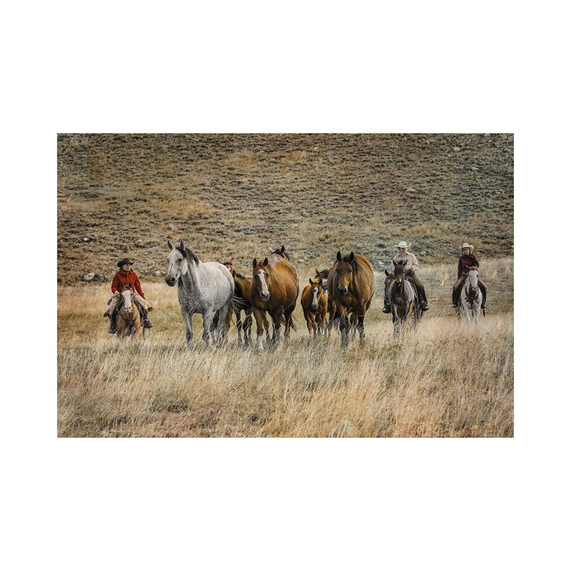 Moving Horses by Rhonda Thompson - Wrapped Canvas Print, 30.48 cm H x 45.72 cm W