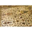 High-Quality Hand-Knotted Cream And Brown Area Rug