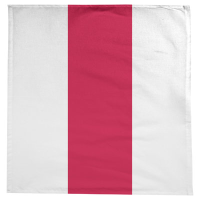 Toronto Basketball Tablecloth