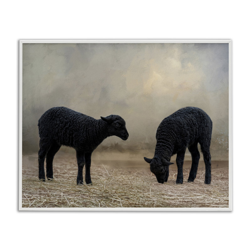Art de giclée de mouton noir par Kelley Parker, Estampe numérique encadrée blanc bord de mer, H 16 po x l 20 po