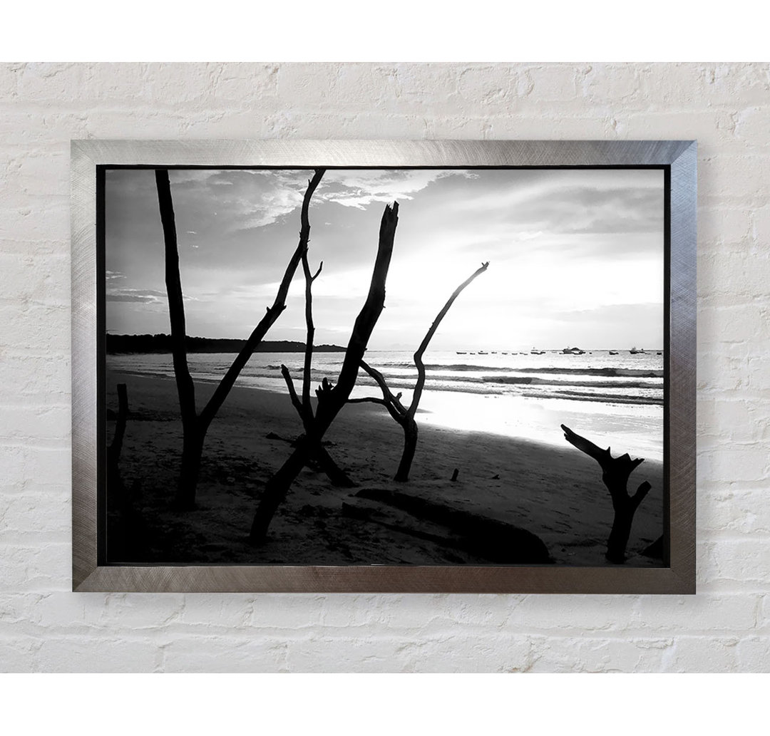 Driftwood Beach B N W - Einzelner Bilderrahmen Kunstdrucke