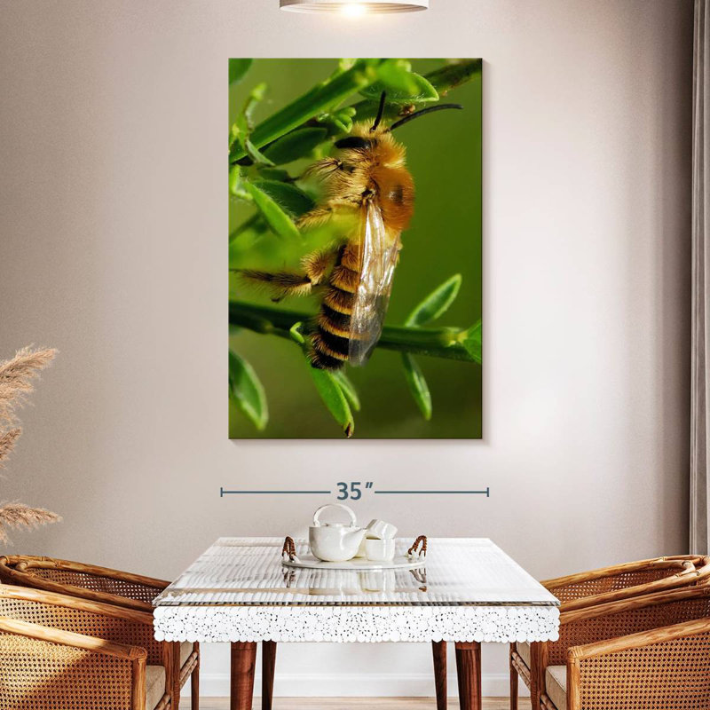 Brampt Bee Bee Bee, 51" H x 34" W