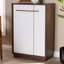 15 Pair Shoe Storage Cabinet