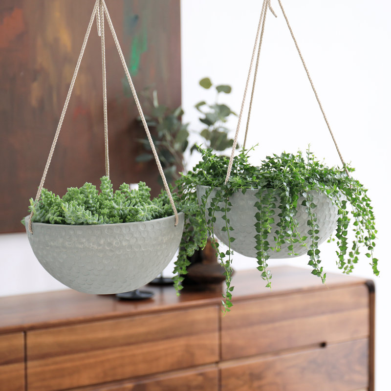 Bee Honeycomb Plastic Hanging Planter, White, 4.7'' H x 10'' W x 10'' D