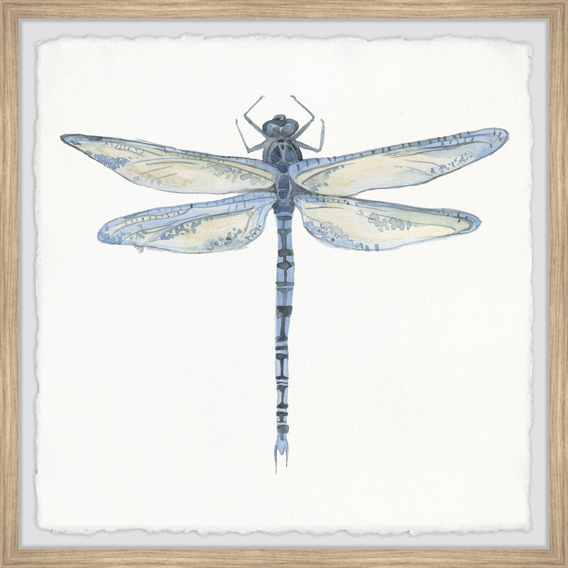 Wild Dragonfly par Marmont Hill - peinture encadrée, H 12 po x l 12 po x P 1,5 po