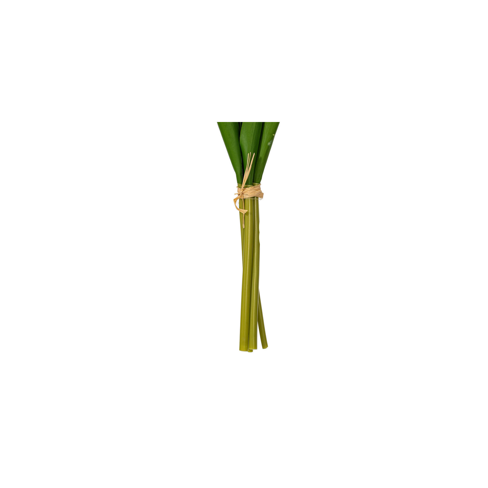 16"H Plum Tulip Bundle of 5., Purple