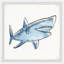 Chesney «Big Shark», reproduction encadrée-231793450
