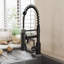 Belfry Kitchen Lippencott Pull Down Kitchen Faucet-63771436