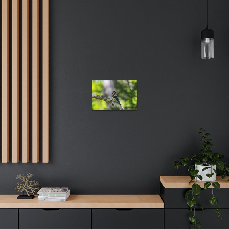 No Frame Print on Canvas, 30.48cm H x 45.72cm W