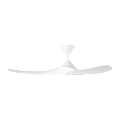 Outdoor Downrod Ceiling Fan