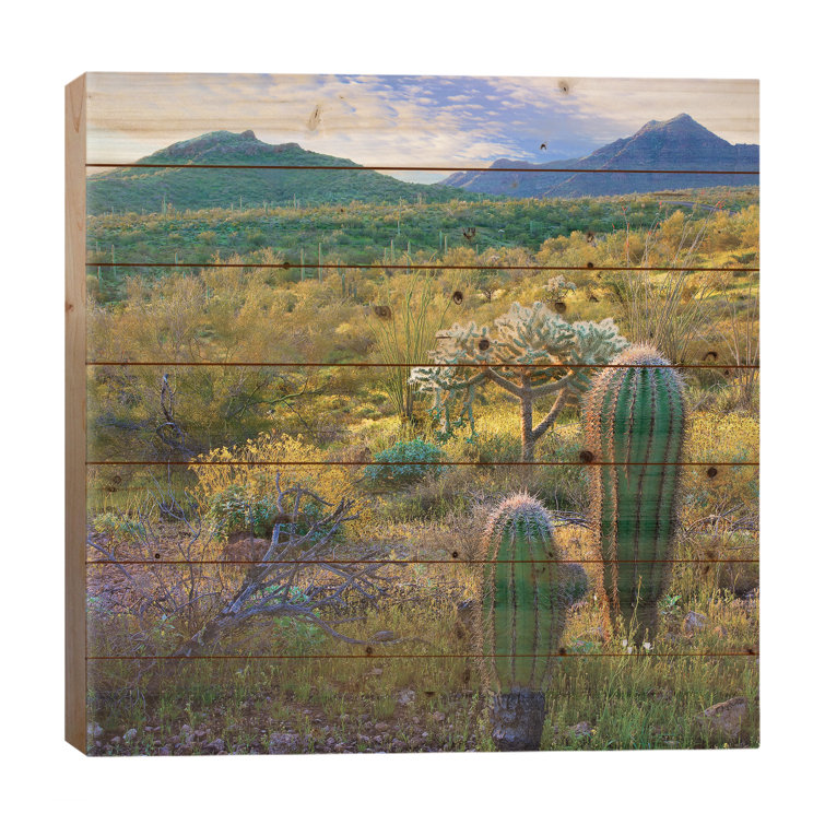 Union Rustic Ajo Mountains, Organ Pipe Cactus National Monument ...