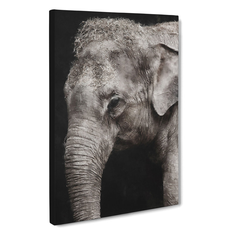 Elephant Vol.3 - Wrapped Canvas, 76cm H x 50cm W x 3cm D
