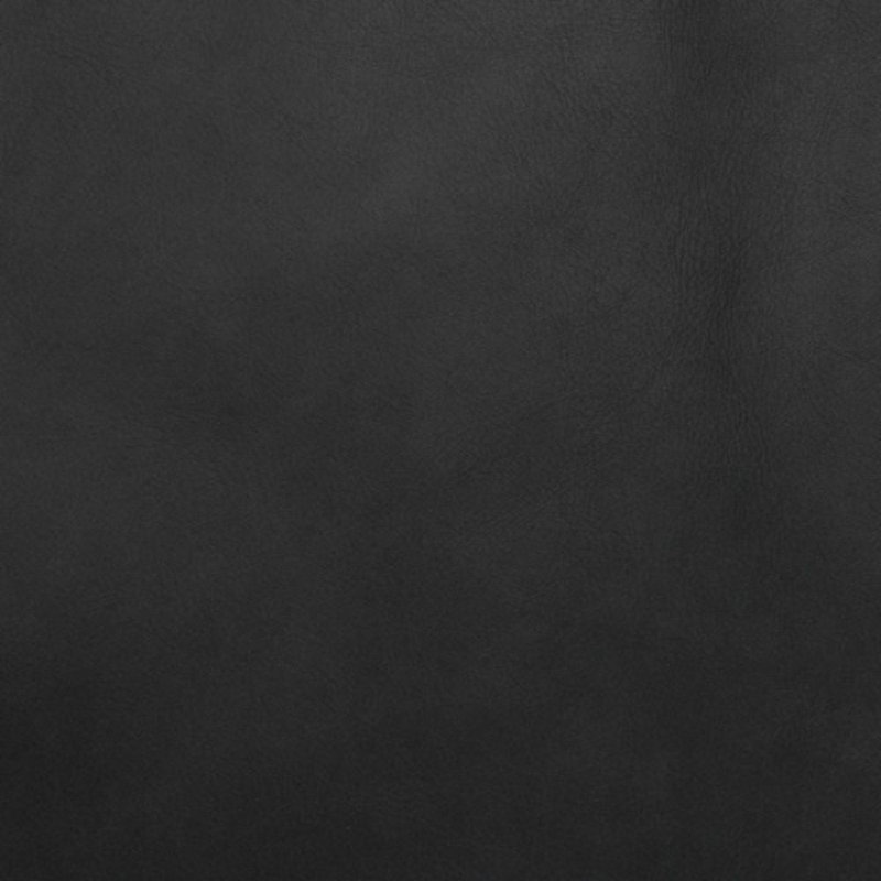 Quidnet Genuine Leather Upholstered Bench, Black Genuine Leather