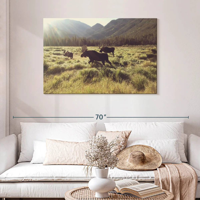 Brampt Three Bull Moose, 30" H x 45" W