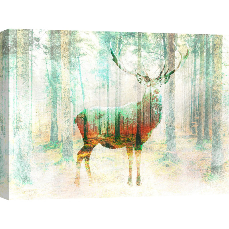 Lord Of The Woods by Arlo Wren Photos - Wrapped Canvas Print, 60cm H x 80cm W x 4cm D