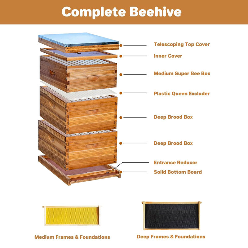 10-Frame Complete Beehive Kit, Wax Coated Bee Hives , Includes 2 Deep Box and 1 Medium Bee Box