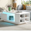 Coffee Table with Storage