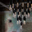 5 Watt Clear LED Bulb-1962867326