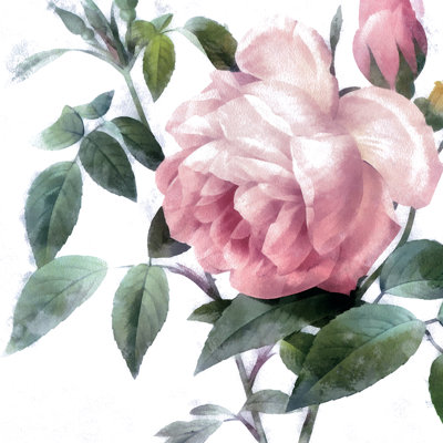Pink Rose 2 - Wrapped Canvas Painting