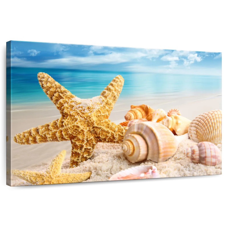 Aletra Seaside Treasures, H 16 po x l 24 po
