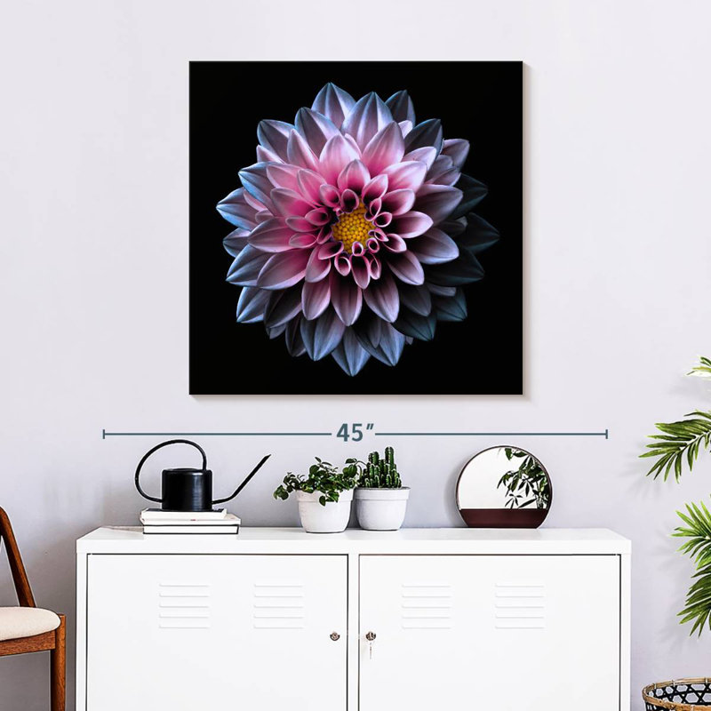 Dahlia Harnek rose et mauve, H 30 po x l 30 po