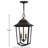 Burton Black/Distressed Copper 2 -Bulb 18.25" H Outdoor Hanging Lantern