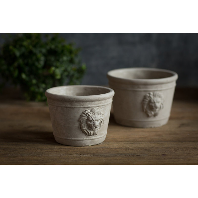 Lynda Pot Planter, 5.13" H x 7" W x 7" D