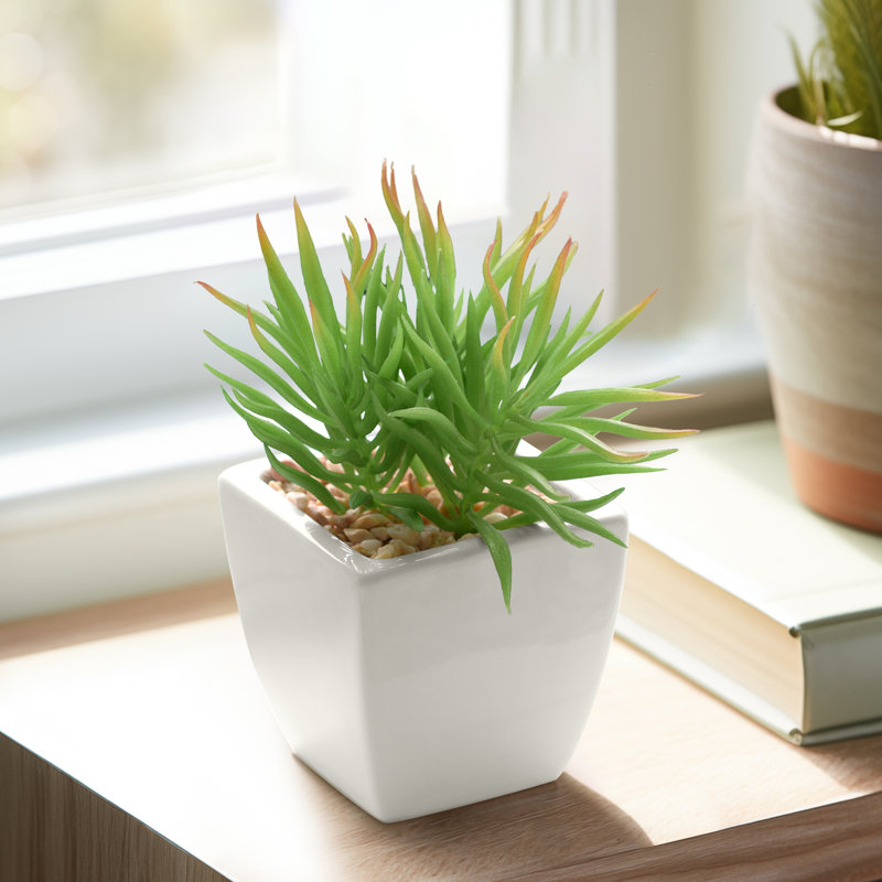 Mini Faux Spike Succulent in Ceramic Pot