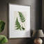 Impression encadrée Fern II - bois massif 51004-644933522