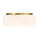 Edgemont 4-Light Ceiling Light