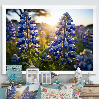 " Blue Bonnets Field Photo IV "