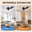 Ceiling Fan