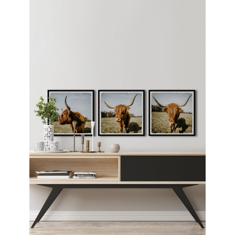 Cow Pose by Marmont Hill - 3 Piece Single Picture Frame Print
