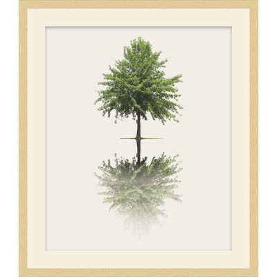 As Above So Below 2 Framed Print