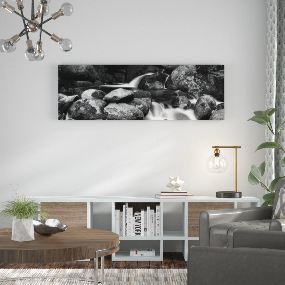 Moss Heaven by Andrew Brown Photographic Print on Canvas in Black/White