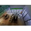 Iridium 9 - Light Geometric Pendant-1175130885