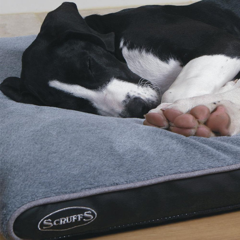 Chateau Orthopedic Polyester Pet Bed, 10cm H x 120cm W x 75cm D, Dove
