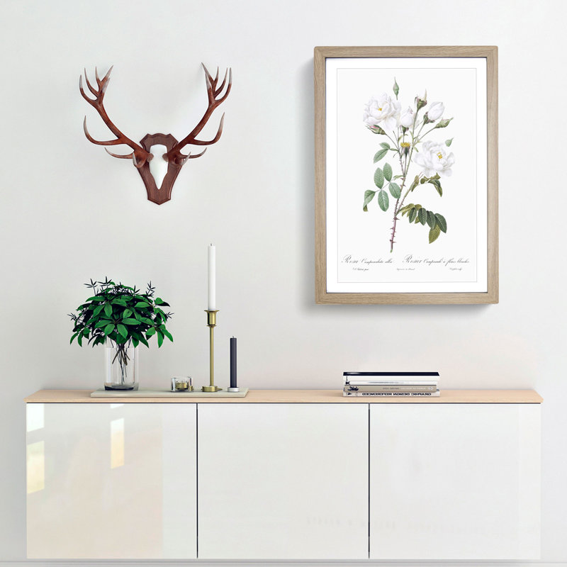 White Roses by Pierre-Joseph Redoute - Framed Print, Oak Framed, 48cm H x 36cm W x 2cm D