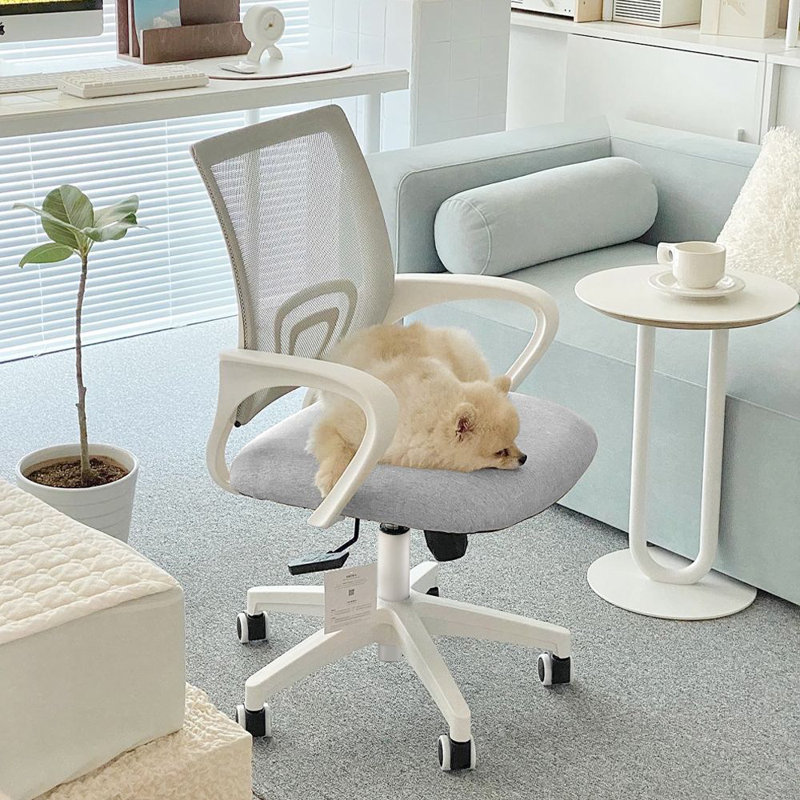Chaise de bureau ergonomique en filet, Blanc / Gris, 1 pièce