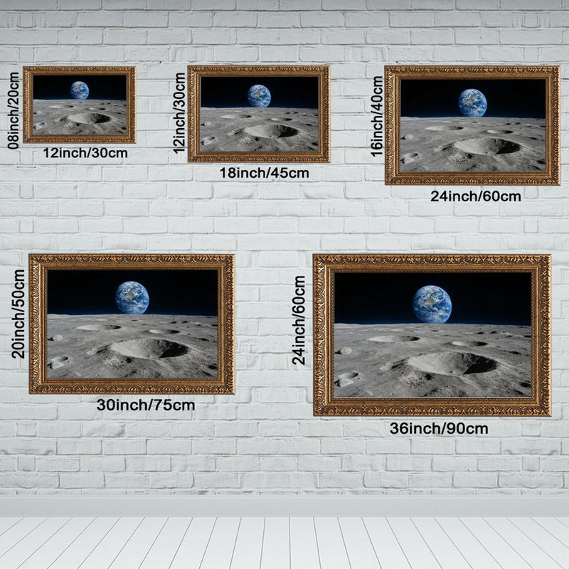 Cadre mural rétro Earthrise Over MoonOrnate, L 16 po x l 24 po