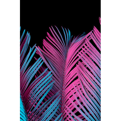 Tropical And Palm Leaves - Wrapped Canvas Print