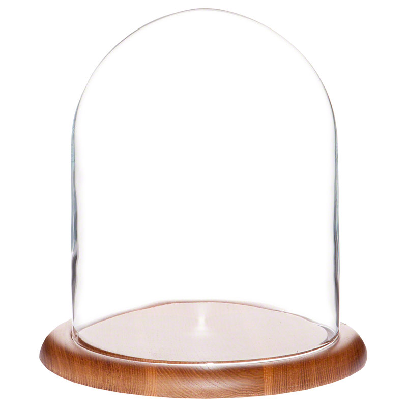 Cloche en verre Jenett, Structure noire en bois, H 10,25 po x l 8 po x P 8 po