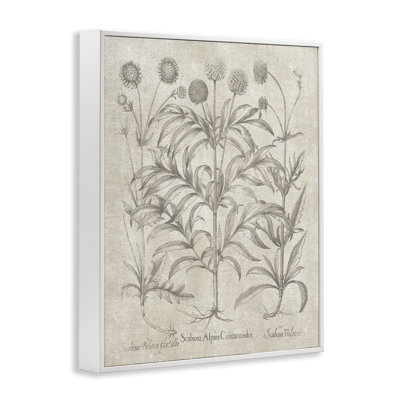 Art rétro de giclée encadrée par Planted