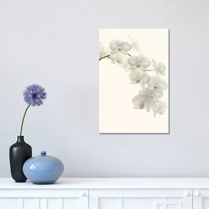 «White Orchids» par Alyson Fennell - impression sur toile tendue, H 18 po x l 12 po x 1,5 po