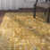 Chattooga Oriental Hand-Tufted Wool Gold Area Rug
