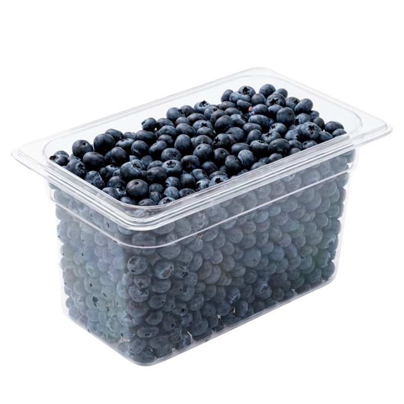 Articles de restaurant - 1/4 de contenants pour aliments, 10 boîtes de 6 pouces de profondeur - rectangulaires, mesures graduées, contenants de rangement en plastique transparent de qualité alimentaire, lavables à la vaisselle, couvercles vendus sépa
