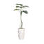 73 po Faux Philodendron plante en pot