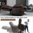 Dual Motor Infinite Position Up To 350 Lbs Electric Medium Size Genuine Leather Power Lift Recliner Chair With 8-Point Vibration Massage And Lumbar Heating-844968455