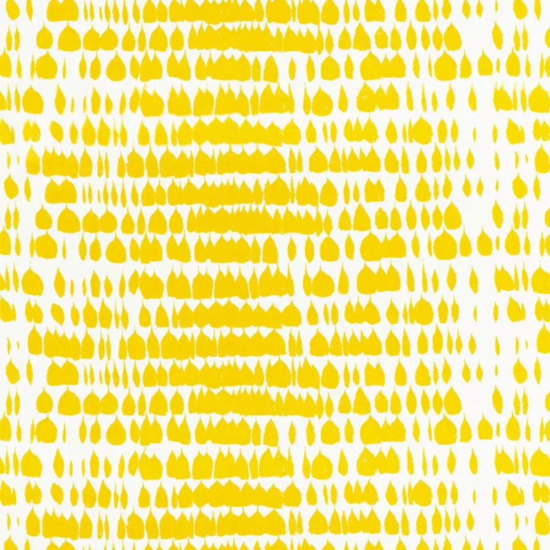 Tissu de la reine d'Espagne, Jonquille